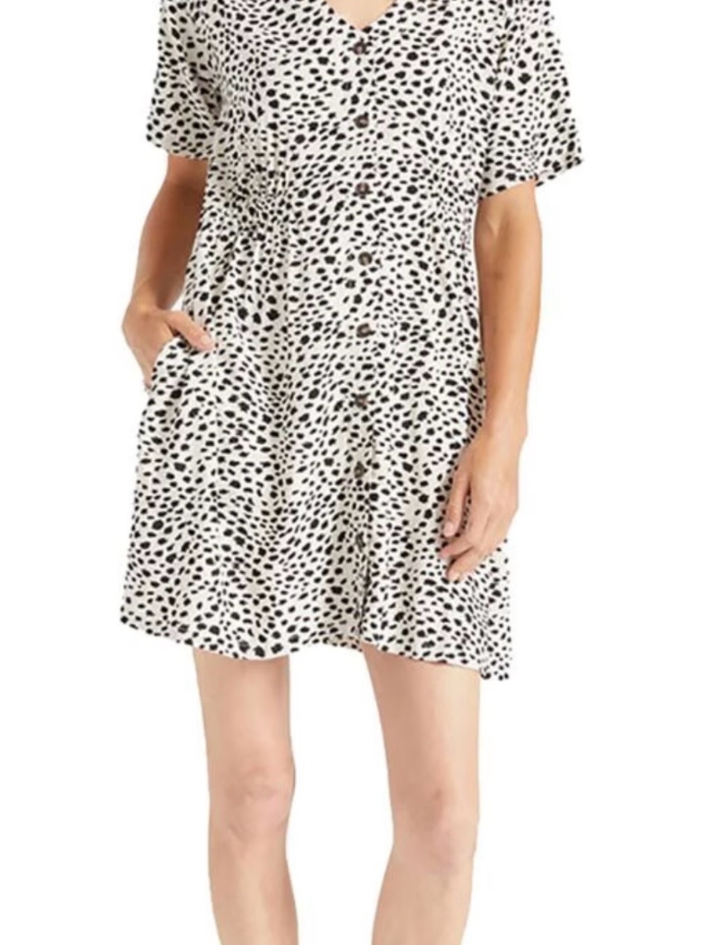 Brixton Cheetah Print Dress
